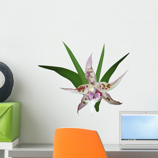 Potted Pink Orchid Flower Wall Decal