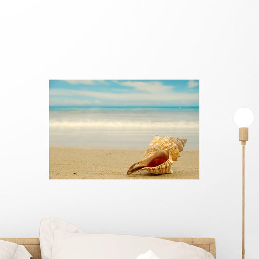 Conch shell on beach Wall Decal