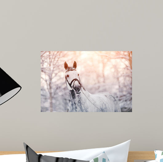 Sporty Horse Winter Wall Decal