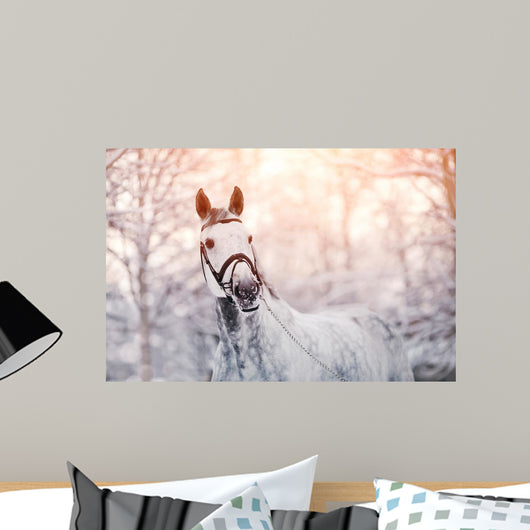 Sporty Horse Winter Wall Decal