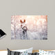 Sporty Horse Winter Wall Decal