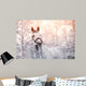 Sporty Horse Winter Wall Decal