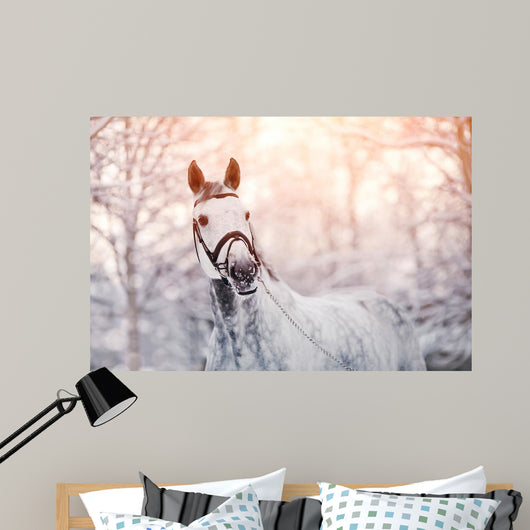 Sporty Horse Winter Wall Decal
