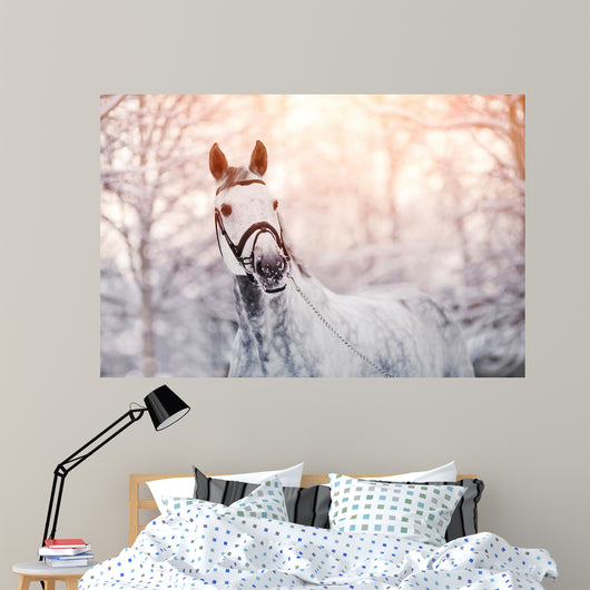 Sporty Horse Winter Wall Decal