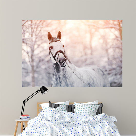 Sporty Horse Winter Wall Decal