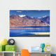 Pangong tso (Lake), Leh, Ladakh, Jammu and Kashmir, India Wall Decal