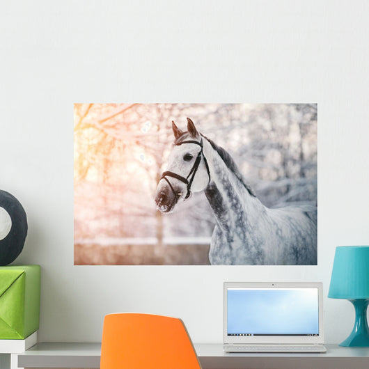 Sporty Grey Horse Wall Decal