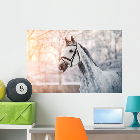 Sporty Grey Horse Wall Decal