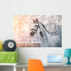 Sporty Grey Horse Wall Decal
