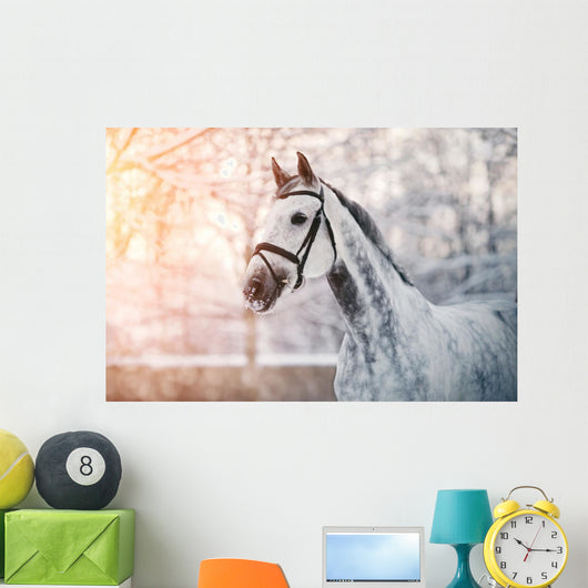 Sporty Grey Horse Wall Decal