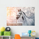Sporty Grey Horse Wall Decal