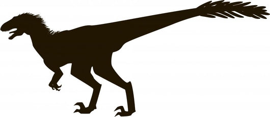 Velociraptor with Feathers Silhouette Wall Mural