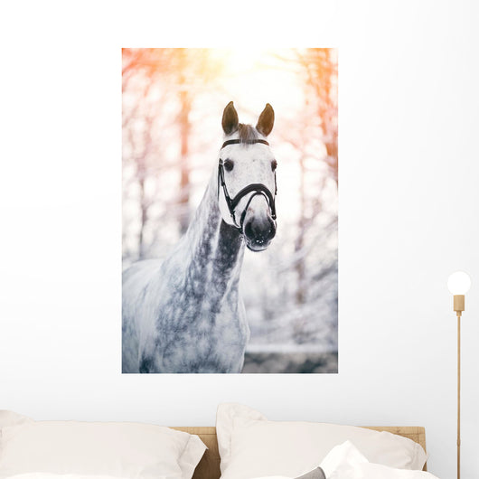 Portrait of a gray sports horse in the winter Wall Decal