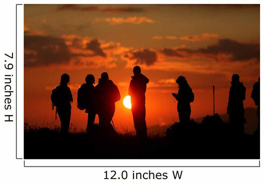 Night Excursion Wall Decal