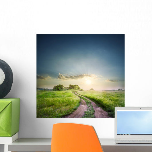Rural road in field with green grass Wall Decal