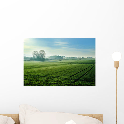 Drzewa na polu Wall Decal