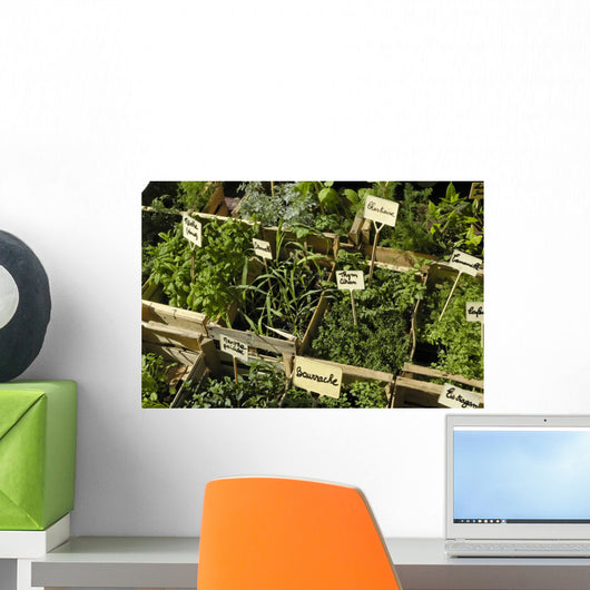 Herbes Aromatiques Wall Decal