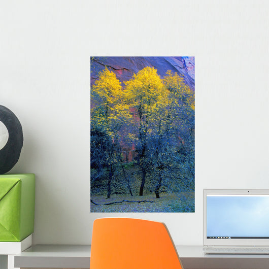Three Thin Autumnal Trees In Front Of Rock Cliff Wall Mural