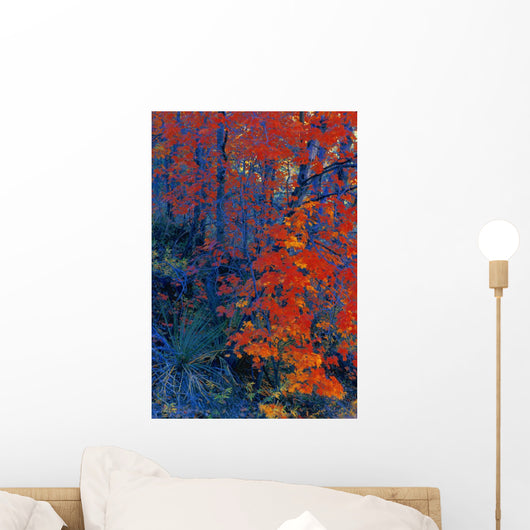 Autumn Foliage Wall Mural