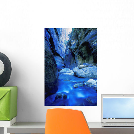 Boulder Filled River At Bottom Of Canyon Wall Mural