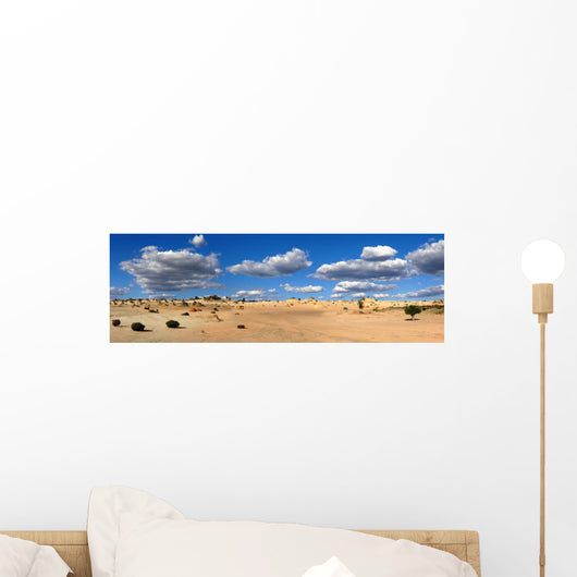 Mungo National Park, New South Wales, Australia Wall Decal
