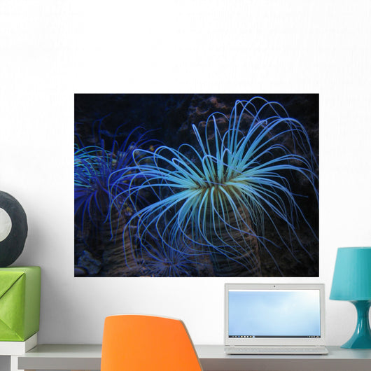 Underwater Plant Wall Decal