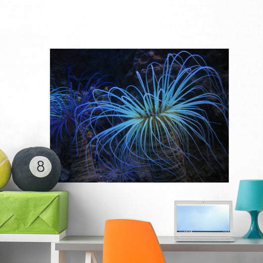 Underwater Plant Wall Decal
