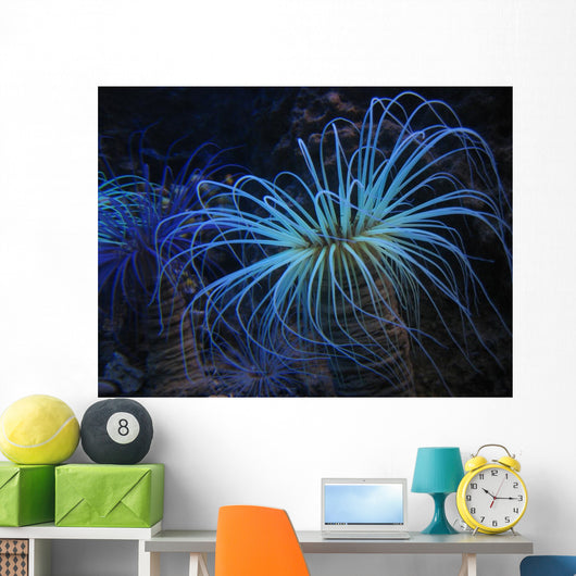 Underwater Plant Wall Decal