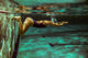 Swimmer at the swimming pool.Underwater photo. Wall Decal