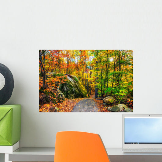 Rocky Path in an Autumn Forest Wall Decal