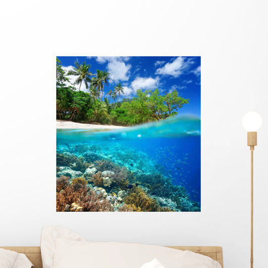 Coral reef in tropical sea. Wall Decal