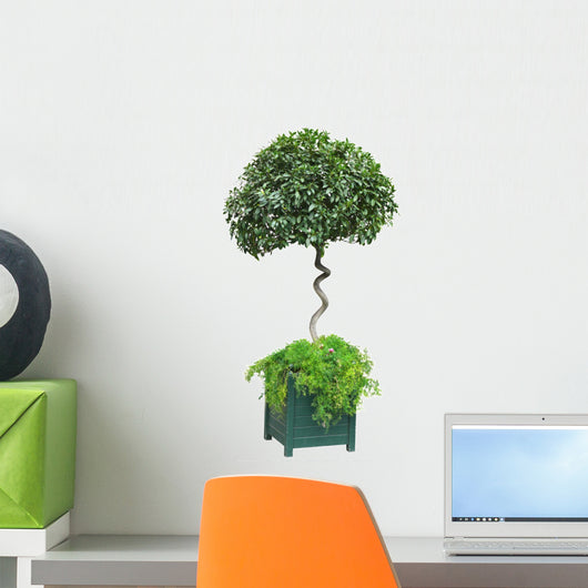 platonic shrub Wall Decal