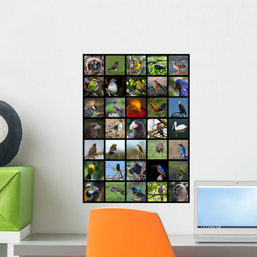 Birds Wall Mural