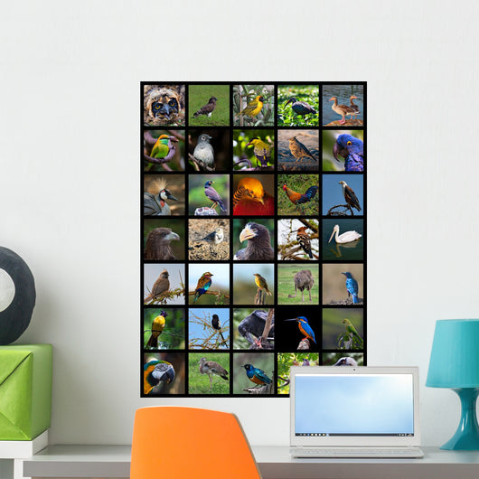 Birds Wall Mural