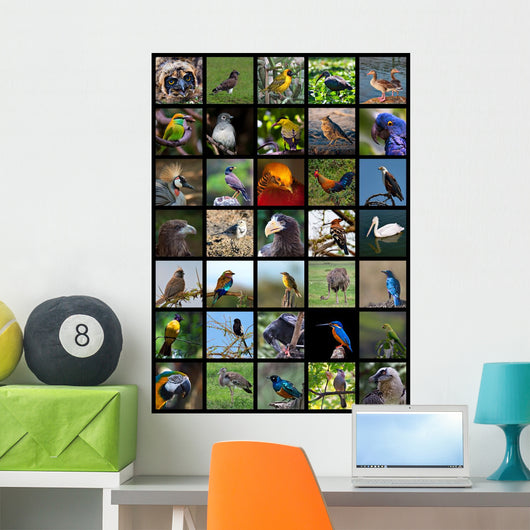 Birds Wall Mural