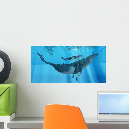 Caring Mother Humpback Wall Decal