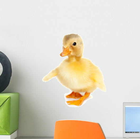 Cute baby duck Wall Decal