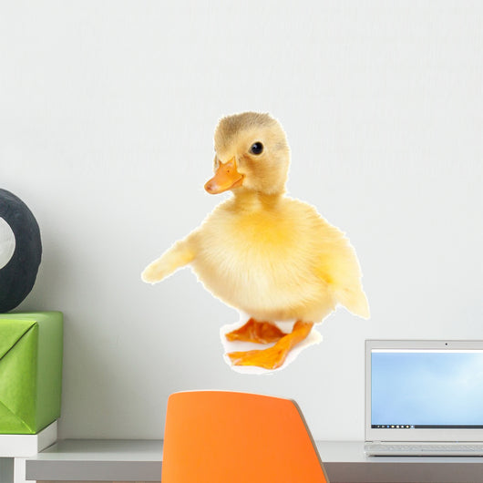 Cute baby duck Wall Decal