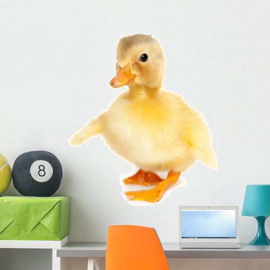 Cute baby duck Wall Decal