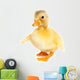 Cute baby duck Wall Decal