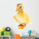 Cute baby duck Wall Decal