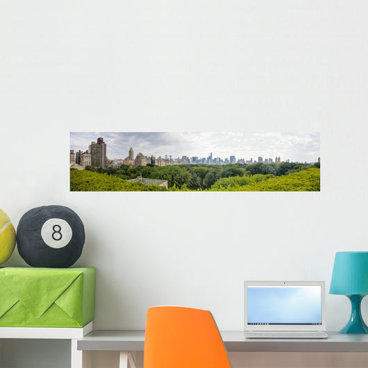 Central Park NYC Wall Mural
