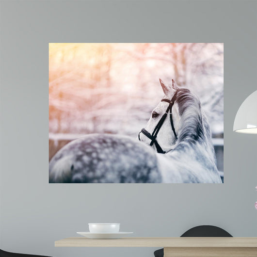 Portrait of a gray sports horse in the winter Wall Mural