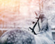 Portrait Of A Gray Sports Horse In The Winter Wall Decal 2