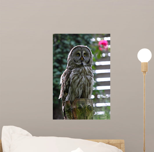 Owl Wall Decal