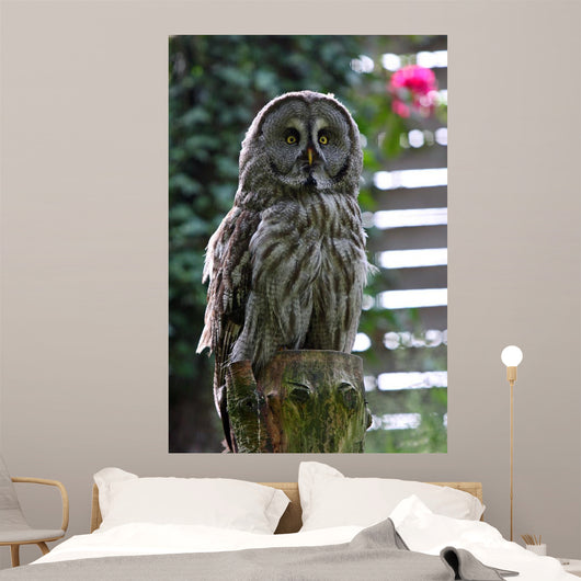 Owl Wall Decal