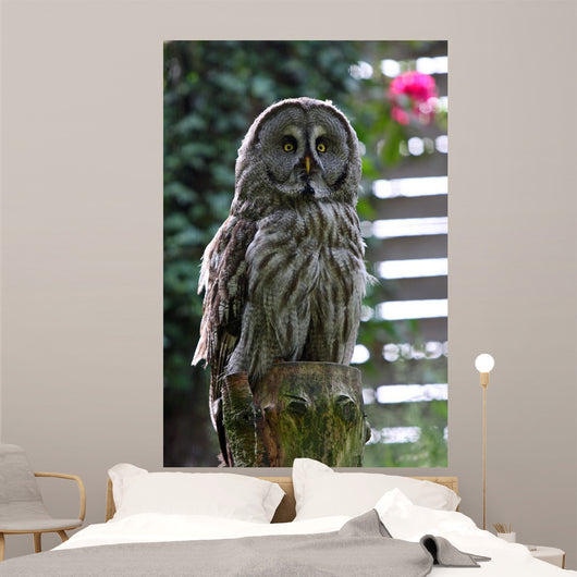 Owl Wall Decal