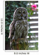 Owl Wall Decal