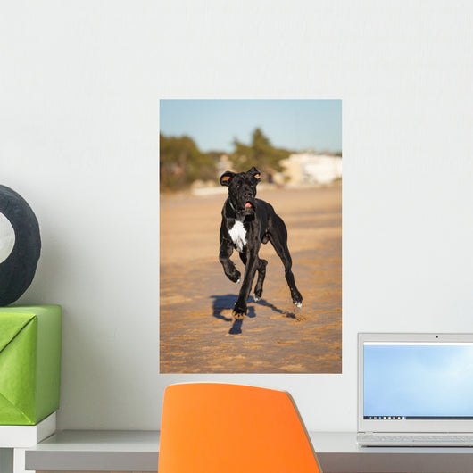 Great Danes Black Dog Wall Decal