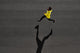 Top Athlete Runner Training Wall Decal
